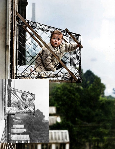 baby cage