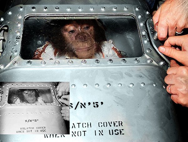 ham getting ready to go to space