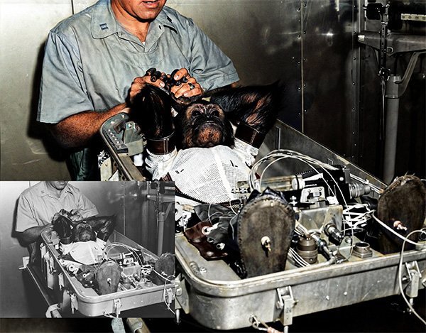 Space chimp getting a medical