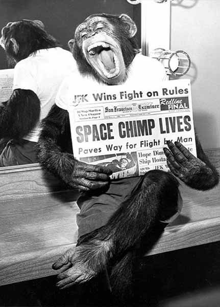 space chimps gallery Photo Restoration Melbourne